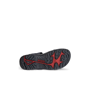 ECCO Offroad (069564)- Mens Walking Sandal in Navy | ECCO Shoes | Wisemans | Bantry | Shoe Shop | Munster | Ireland