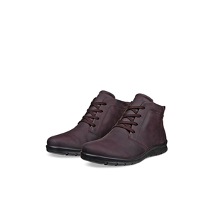 ECCO Babett (215583)- Ladies Gore-Tex Ankle Boot in Brown Waxy Leather | ECCO Shoes | Wisemans | Bantry | Shoe Shop | West Cork | Ireland