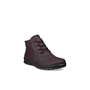 ECCO Babett (215583)- Ladies Gore-Tex Ankle Boot in Brown Waxy Leather | ECCO Shoes | Wisemans | Bantry | Shoe Shop | West Cork | Ireland