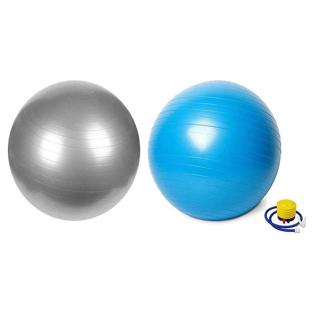 Swiss Gym Ball Vector X